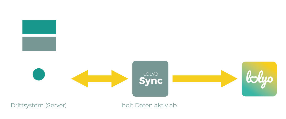 Anbindung über Aktive LOLYO Sync Schnittstelle